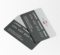 Briggs and Stratton Credit Card