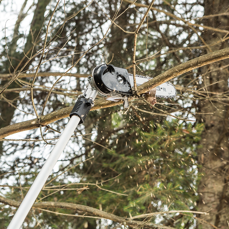 82 Volt Max Lithium Ion Cordless Pole Saw