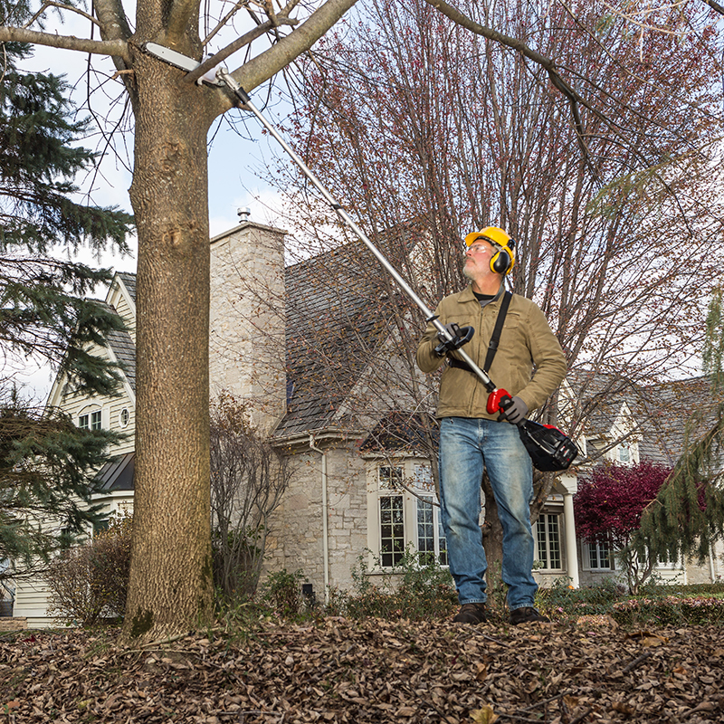 82 Volt Max Lithium Ion Cordless Pole Saw