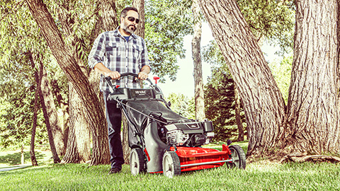 Bagger Lawn Mowers at