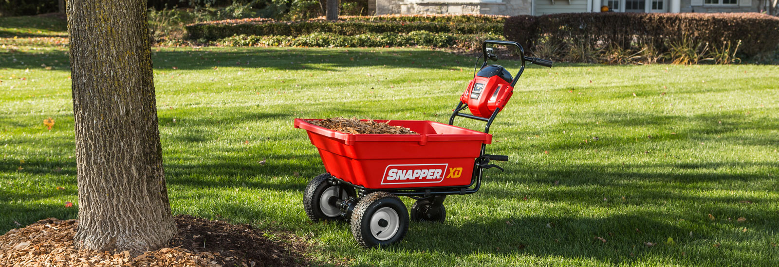 Other electric Snapper products