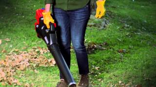 60-Volt Lithium Ion Cordless Leaf Blower | ... 60-Volt Lithium Ion Cordless Leaf Blower | ...